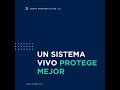 Los negocios evolucionan y la seguridad no puede ser estática.