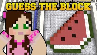 Minecraft: GUESS THE PICTURE! (CAN YOU GET IT RIGHT?!) MiniGame
