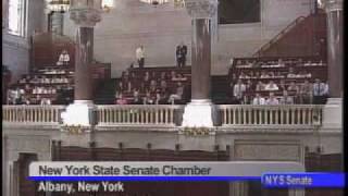 NYS Senate Session - 3/4/10