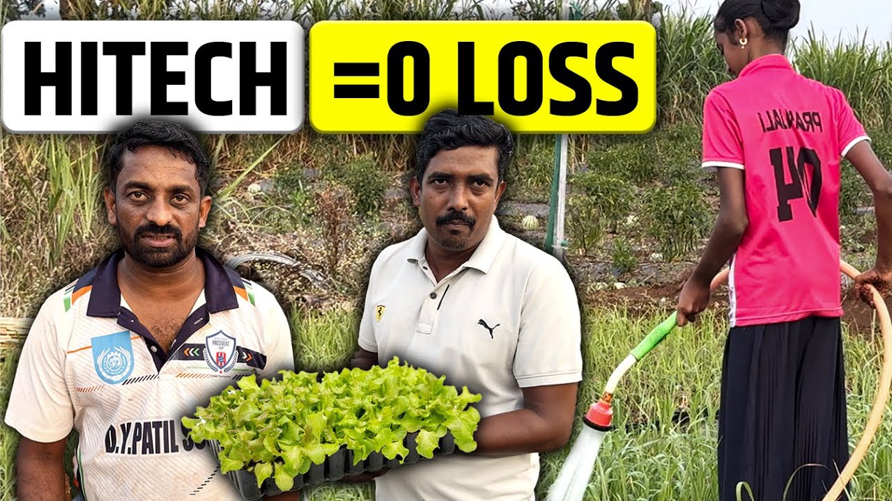 100% पीक येणार का? | Hi-Tech Nursery मधून रोप घेतल्यावर खरी वास्तवता