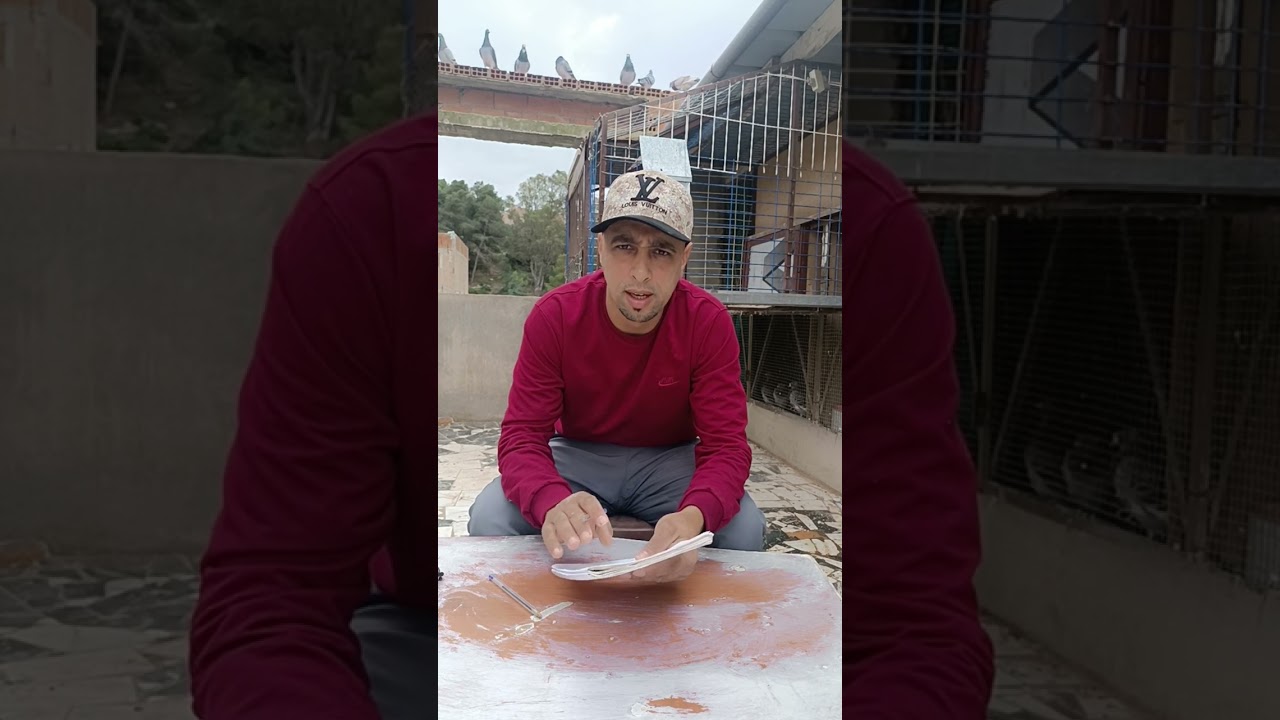 برنامج النصف الطويل Demi fond