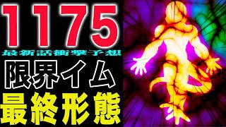 【ワンピース1175予想】神の騎士団が崩壊!イムの最終形態!キリンガムの抵抗!(予想妄想)