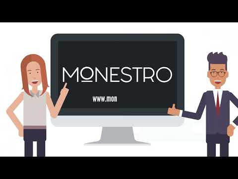 Peer-to-Peer Lending in Europe via Monestro Explained in One Minute