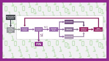 El ciclo evolutivo del computo evolutivo