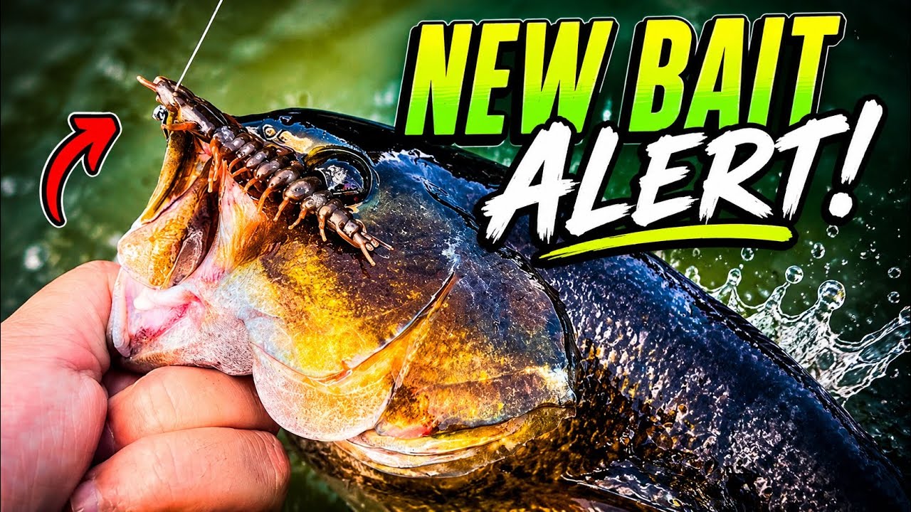Nikko’s New Sinking Hellgrammite Is a Cheat Code! (Summer Bass Fishing Tips)