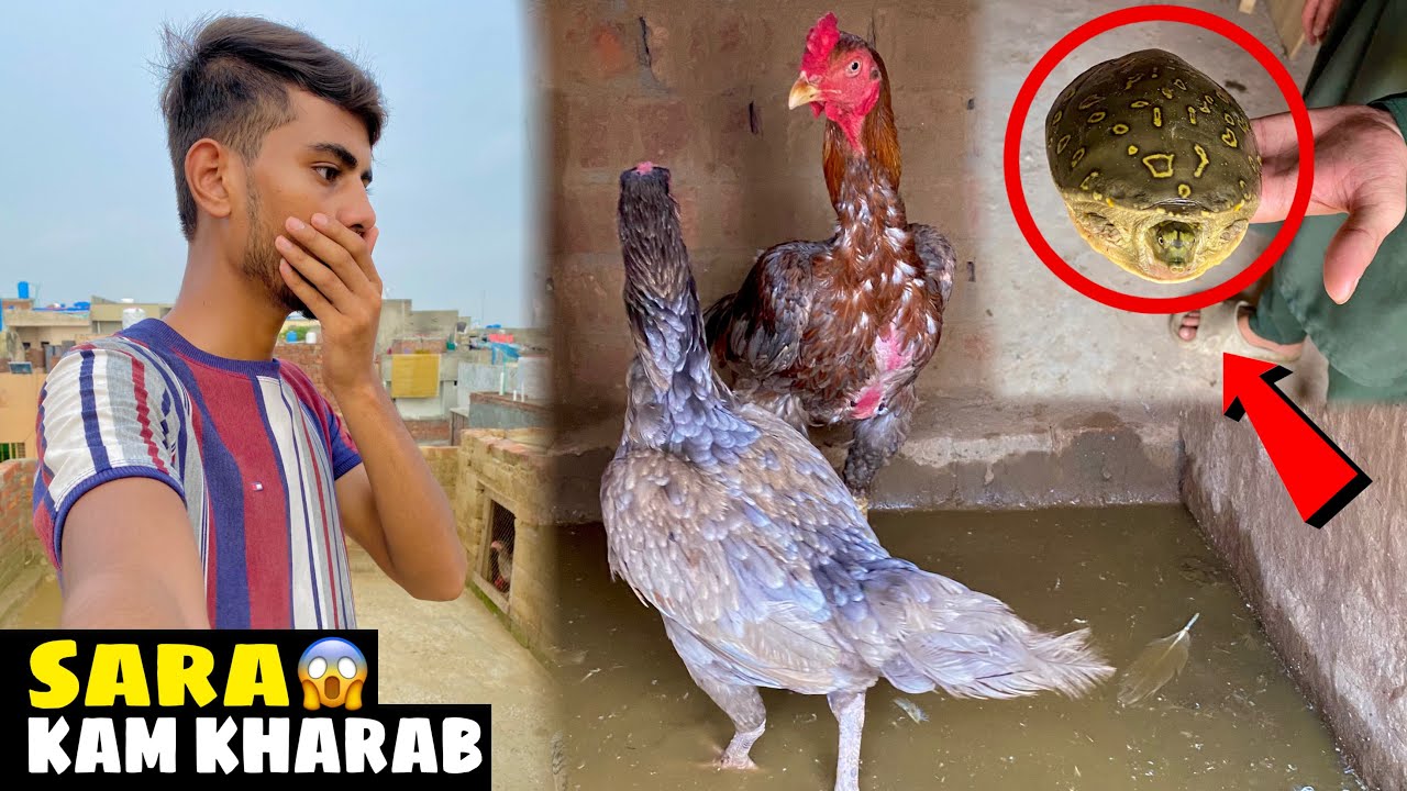 Barish Ki Vajah Se ⛈️ Sara Kam Kharab 😱