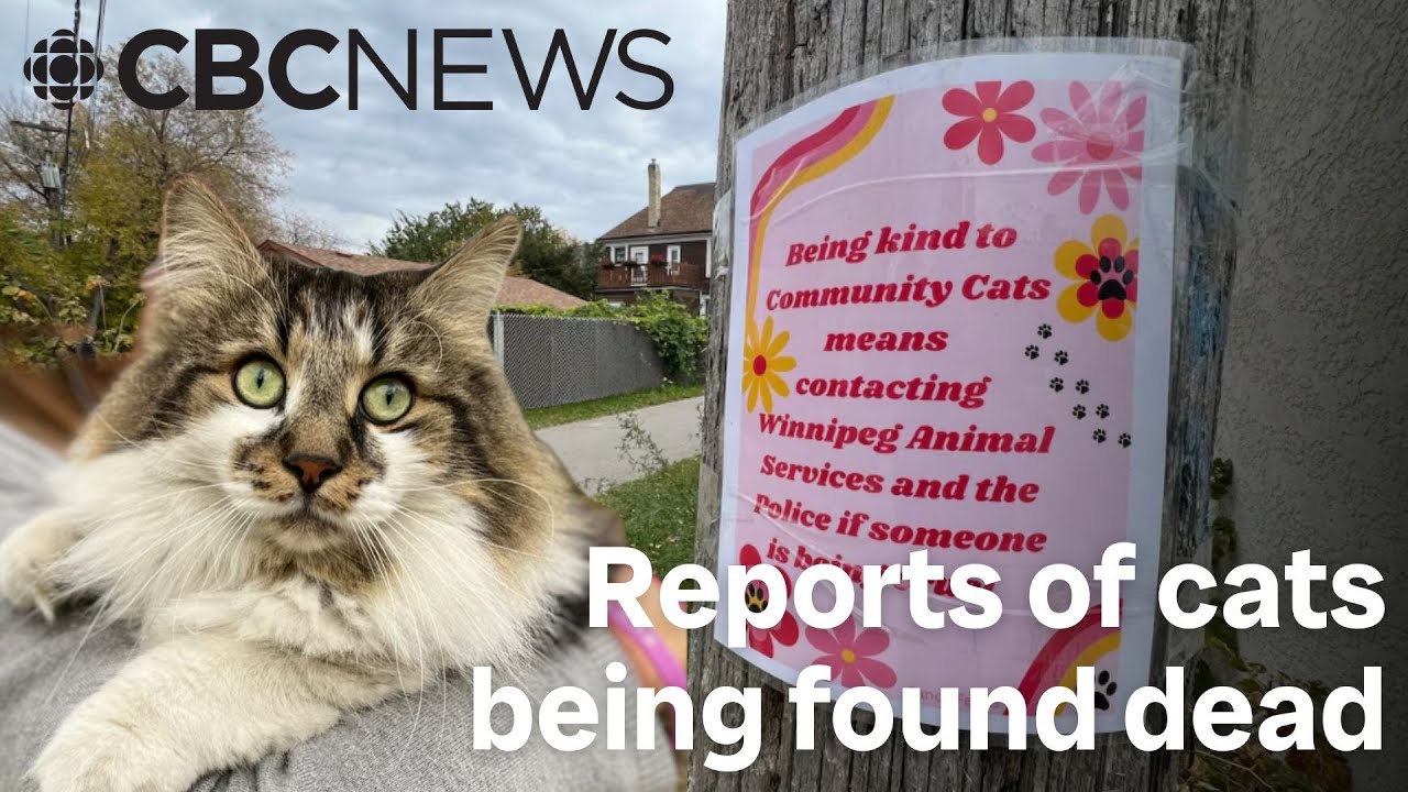 Animal advocates urge people to keep their pets inside