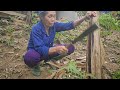 An elderly mother and countless chores in the countryside.