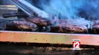 Health Alert: Paleo diet