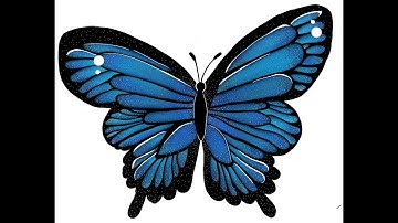 Draw a Butterfly Using Autodesk Sketchbook App I Step By Step Digital Art