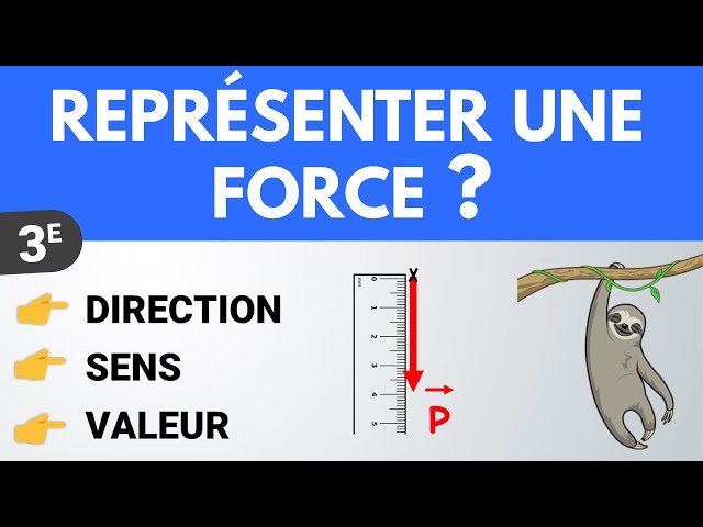 Comment représenter une FORCE (le poids) ? ✏️ Exercice | Physique-Chimie