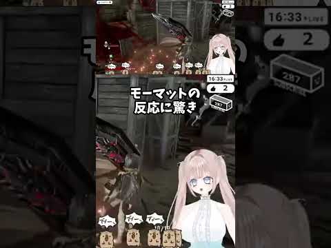 モーマットの反応に驚き #codevein #切り抜き #vtuber