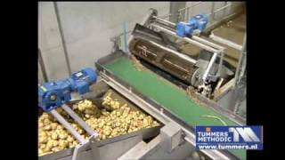 Tummers Destoner Washing Brusher Polisher Potatoes Carrots