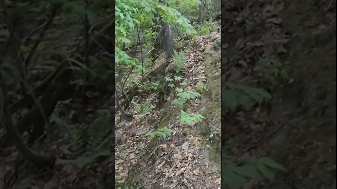 SCARRRRY! HIKING ON A LEDGE WITH A DROP OFF BETWEEN BLAZES! 