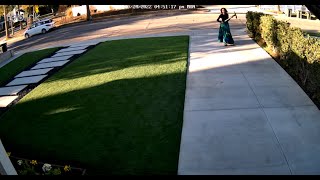 PICK AXE ATTACK: Vibrant 65 Year Old Black Woman Attacks Neighbor's Luxury Home - "I'll be back."