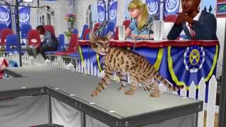 The Sims FreePlay - Pet Paradise Out Now On Google Play! screenshot 3