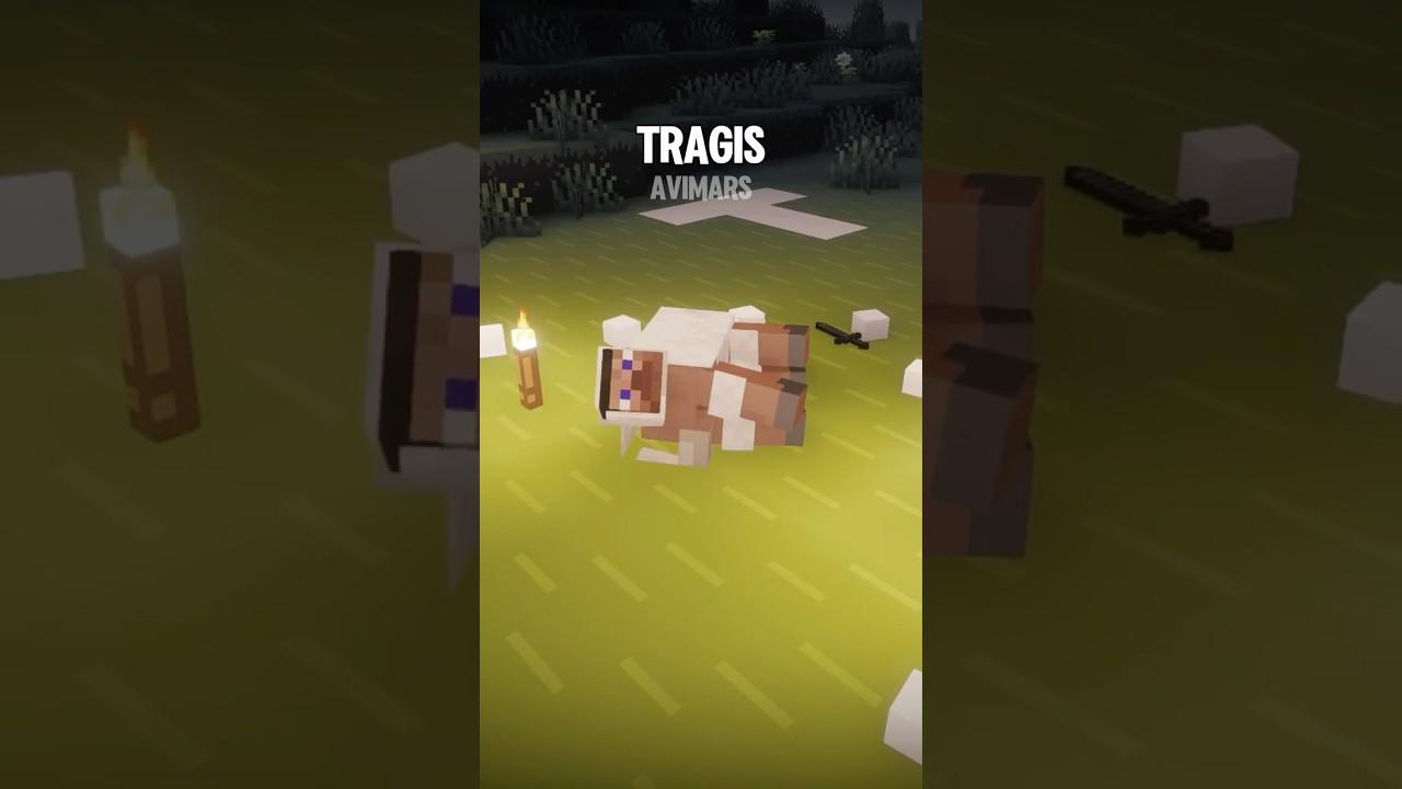 terkutukk jangan pernah membunuh domba di minecraft