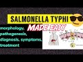 Salmonella typhi (Morphology, symptoms, diagnosis, pathogenesis, treatment) ||made easy 😎