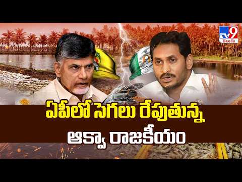 Aqua Politics Heats Up in AP : ఏపీలో సెగలు రేపుతున్న ఆక్వా రాజకీయం | TDP Vs YCP - TV9 - TV9