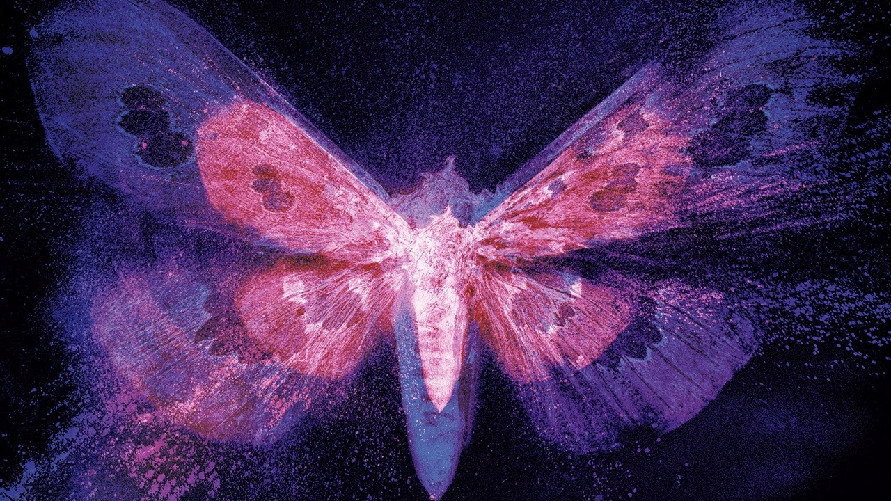 Tinlicker & Solomon Grey - Choir To The Wild