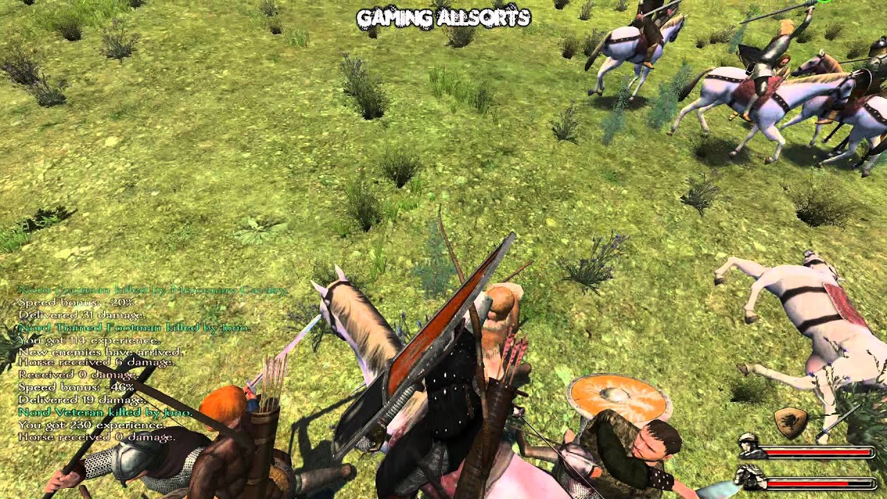 mount and blade warband serial key not working mount and blade warband serial key not working
