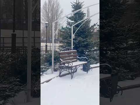 Поворино навалило снега сквер Молодоженов 