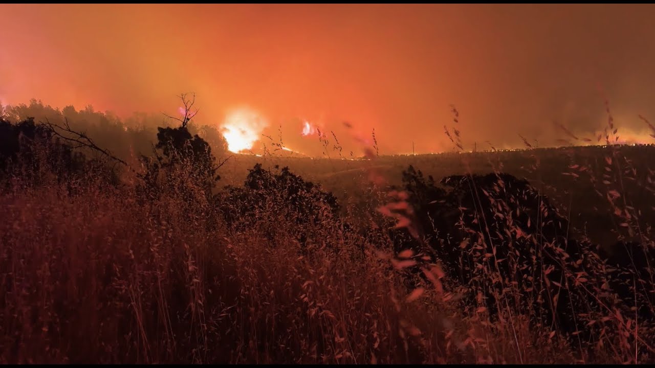 How A Fuel Reduction Project Helped Save Lives During the Park Fire