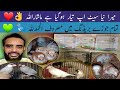 Mera SETUP Tayyar Hogya Hai MaShaAllah | Sary PAIR Breeding Mai Masroof | Society Zebra Finch | Java