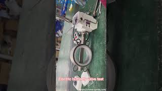 Electric Erfly Valve Test