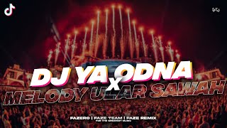 DJ YA ODNA X MELODY ULAR SAWAH // Slowed Reverb 🎧🤙