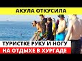 Акула атаковала отдыхающих, среди которых были и туристы из России