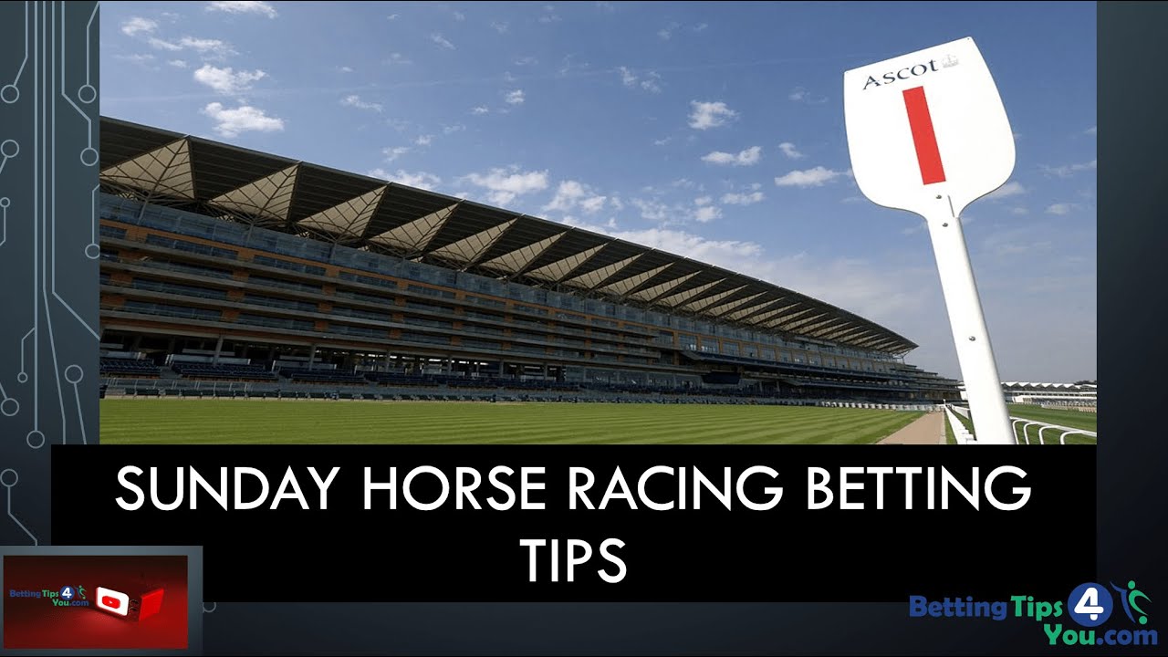 Horse Racing Betting Tips & Predictions For Today's Sunday 28th March 2021 YouTube