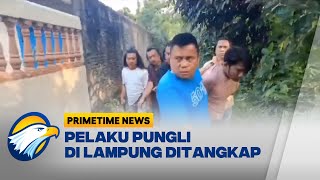 1 Pelaku Pungli di Lampung Dibekuk Polisi