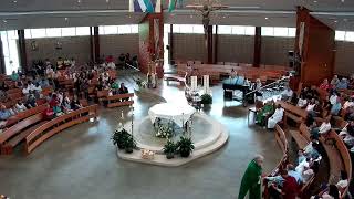 11th Sunday in Ordinary Time - June 14, 2026 (English)