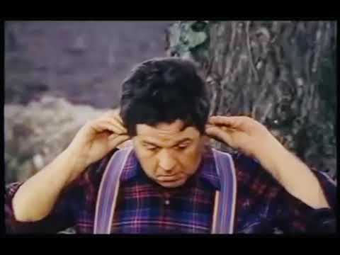 Boards Of Canada - Telecom Italia AD (Rare Mix)