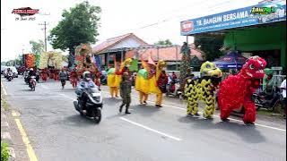 NGAPLANG NGAPLANG BUROK KAULA MUDA LIVE DESA CABAWAN TEGAL 20 JUNI 2025
