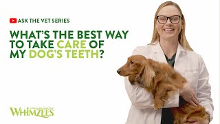 Ask The Vet Series 2 - Whats The Best Way To Take Care Of My Dogs Teeth?