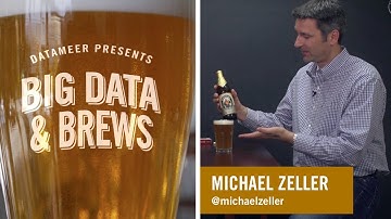 Big Data & Brews: Michael Zeller, CEO of Zementis, part 1