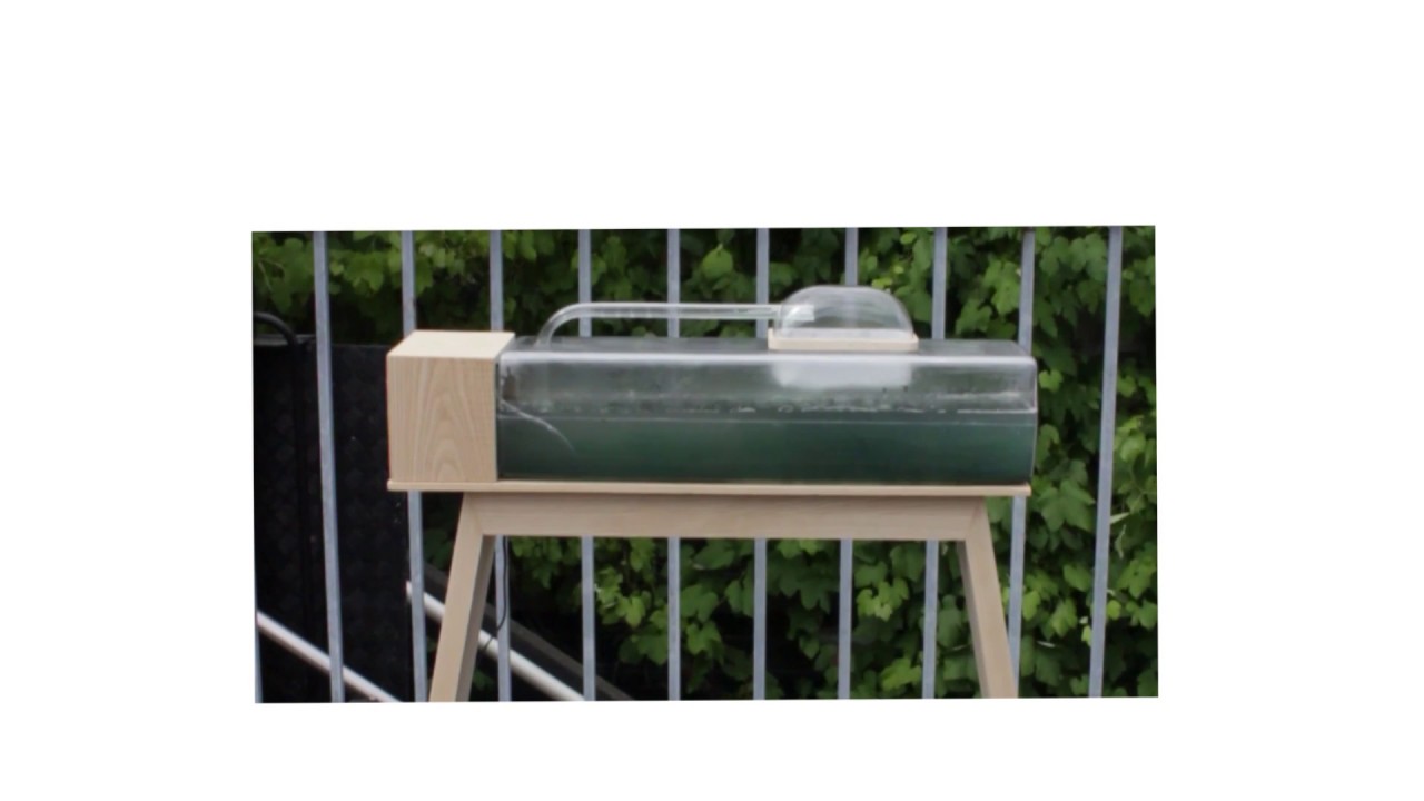 Harvesting micro-algae cells - demo