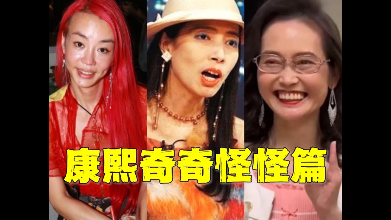 无用盘点，无可取代的综艺奇观！台综另类顶流：许纯美、慧慈、法拉利姐