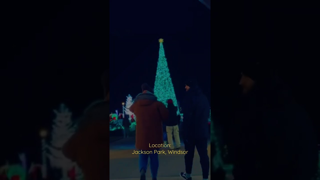 Christmas Lighting’s from a town in 🍁 Canada 