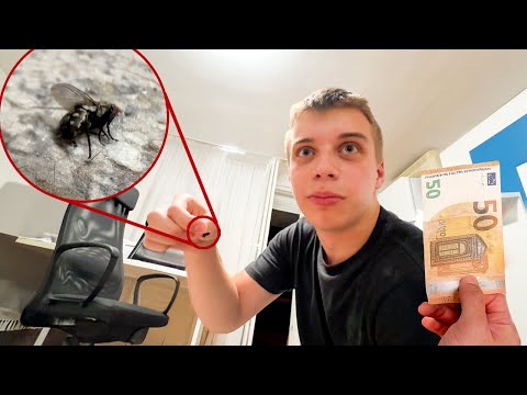 50€ i Poješću je! - Avgust Vlog #1
