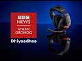 BBC OROMO GALGALA KANA 2021 