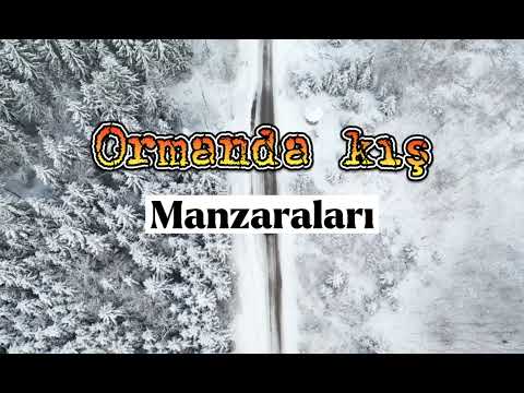 Ormandan Kış Manzaraları