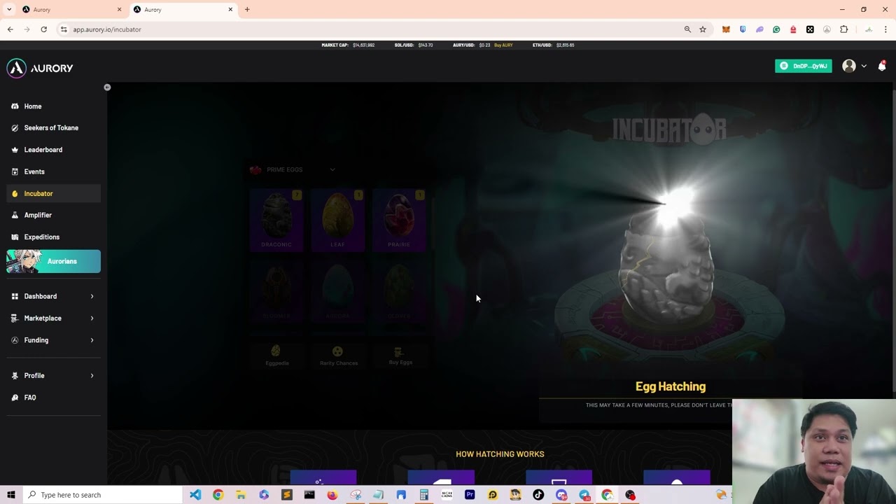 Hatching Eggs | Aurory Project