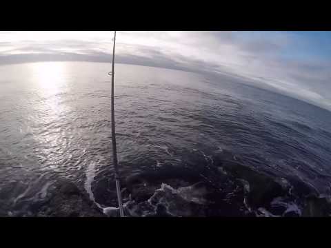 Video Shimano Ultegra 5500 XTD Review - youtube