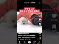 アザラシが可愛すぎる(๑♡ᴗ♡๑) #shorts #shortsvideo