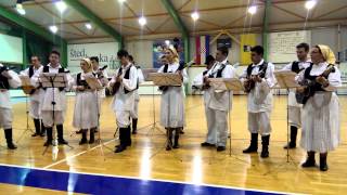 Video thumbnail of "Zimska škola hrvatskog folklora 2014 - Vudri"