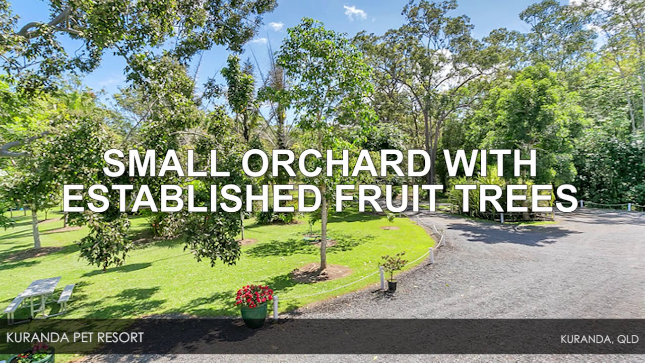 Premium Boarding Kennels On 38 Acres With Very High Returns - Cairns