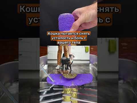 ПОЧЕМУ КОШКИ ТРУТСЯ ОБ НОГИ ЧЕЛОВЕКА?